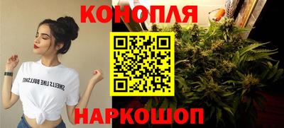 дмт Моздок
