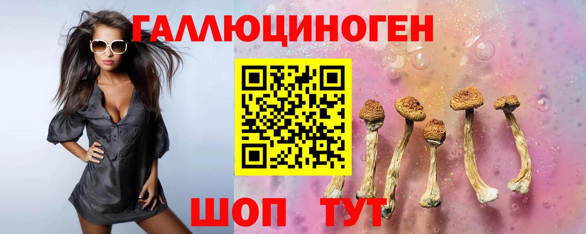 Галлюциногенные грибы прущие грибы  Вход с VPN  купить наркотик  Тулун 